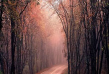 乐鱼体育课程-雷恩负于拉科鲁尼亚,欧冠新晋球队逐梦之路开启