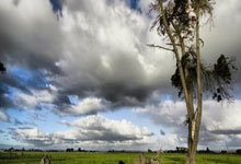 乐鱼体育官方-皇马遭遇尴尬失利,欧冠前景黯淡:豪门之路的迷雾与挑战