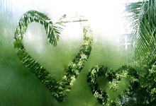 乐鱼体育培训-利物浦主场告捷,欧冠小组赛积分激烈角逐