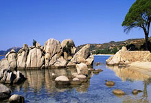 乐鱼体育课程-雷恩负于拉科鲁尼亚,欧冠新晋球队逐梦之路开启