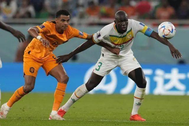 塞内加尔队取胜在望,实力不容小觑的简单介绍 塞内加尔队取胜在望,实力不容小觑的简单介绍